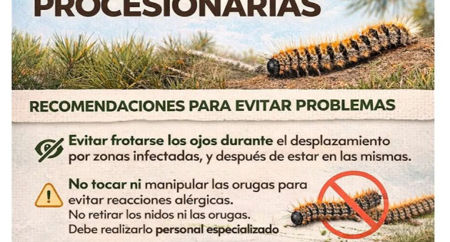 Procesionaria del pino